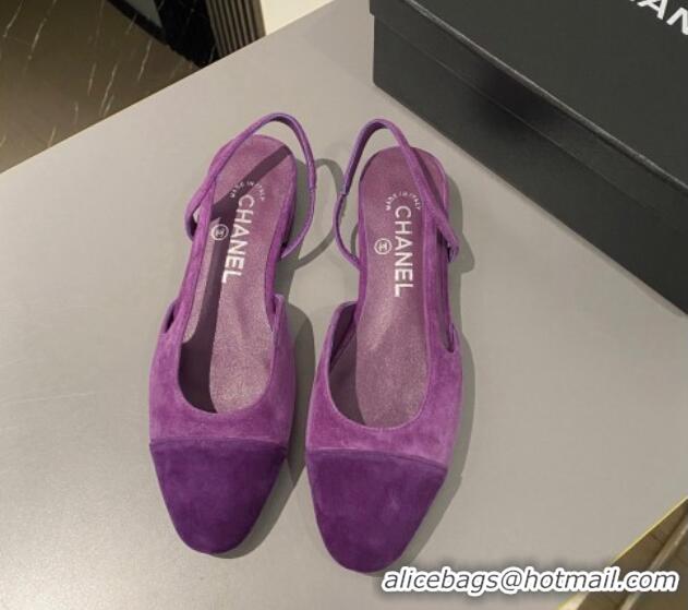 Good Looking Chanel Suede Slingbacks Ballet Flat Purple 423110