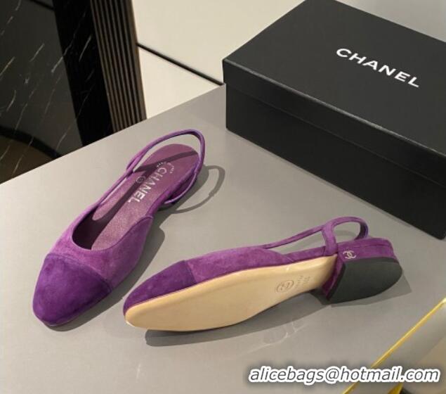 Good Looking Chanel Suede Slingbacks Ballet Flat Purple 423110