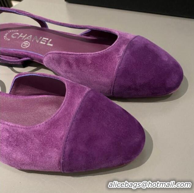 Good Looking Chanel Suede Slingbacks Ballet Flat Purple 423110