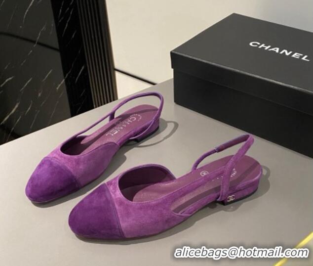 Good Looking Chanel Suede Slingbacks Ballet Flat Purple 423110