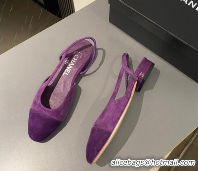 Good Looking Chanel Suede Slingbacks Ballet Flat Purple 423110