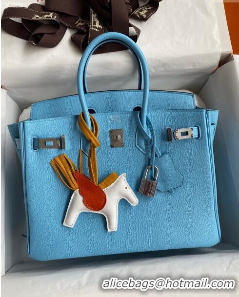 Pretty Style Hermes Birkin 25cm Bag in Original Chèvre Leather H025 Candy Blue/Silver 2024 (Full Handmade)