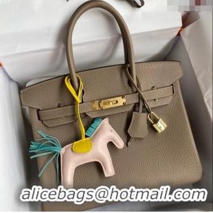 Super Quality Hermes Birkin 30cm Bag in Original Togo Leather Turtledove H30 Grey/Gold 2024 (Full Handmade)