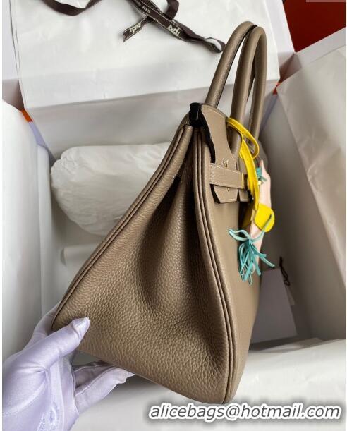 Super Quality Hermes Birkin 30cm Bag in Original Togo Leather Turtledove H30 Grey/Gold 2024 (Full Handmade)