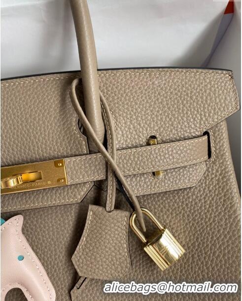 Super Quality Hermes Birkin 30cm Bag in Original Togo Leather Turtledove H30 Grey/Gold 2024 (Full Handmade)