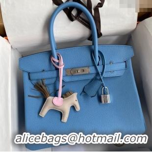 Top Grade Hermes Birkin 30cm Bag in Original Togo Leather H30 Paradiso Blue/Silver 2024 (Full Handmade)