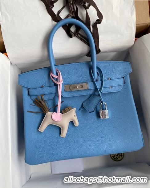 Top Grade Hermes Birkin 30cm Bag in Original Togo Leather H30 Paradiso Blue/Silver 2024 (Full Handmade)