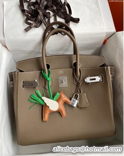 Good Taste Hermes Birkin 30cm Bag in Original Togo Leather H30 Etoupe/Silver 2024 (Full Handmade)