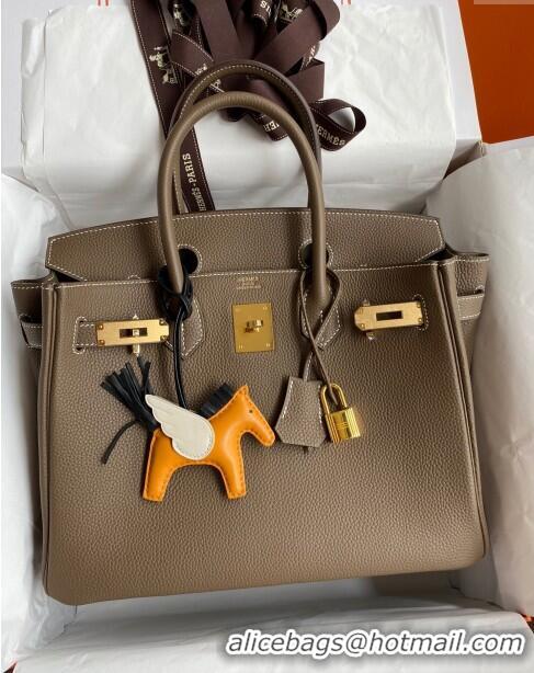 Most Popular Hermes Birkin 30cm Bag in Original Togo Leather H30 Etoupe/Gold 2024