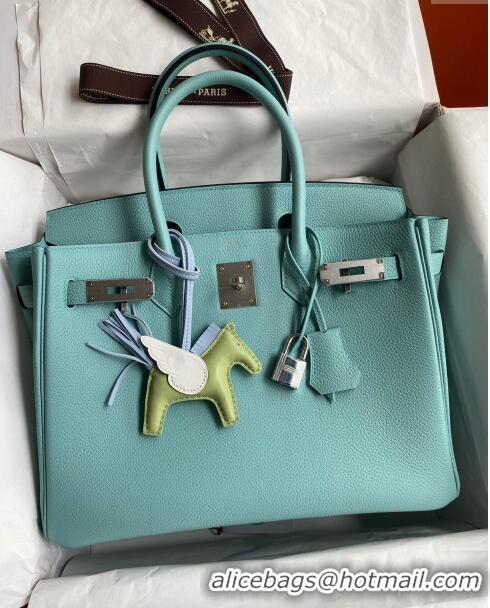 Promotional Hermes Birkin 30cm Bag in Original Togo Leather Macaron H30 Blue/Silver 2024 (Full Handmade)