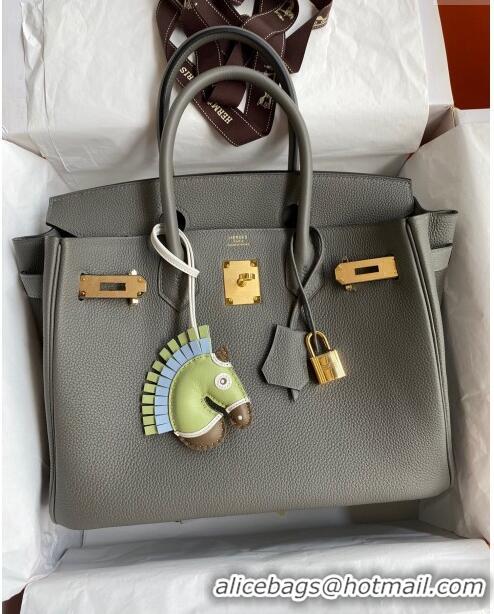 Unique Style Hermes Birkin 30cm Bag in Original Togo Leather H30 Cumulonimbus Grey/Gold 2024 (Full Handmade)