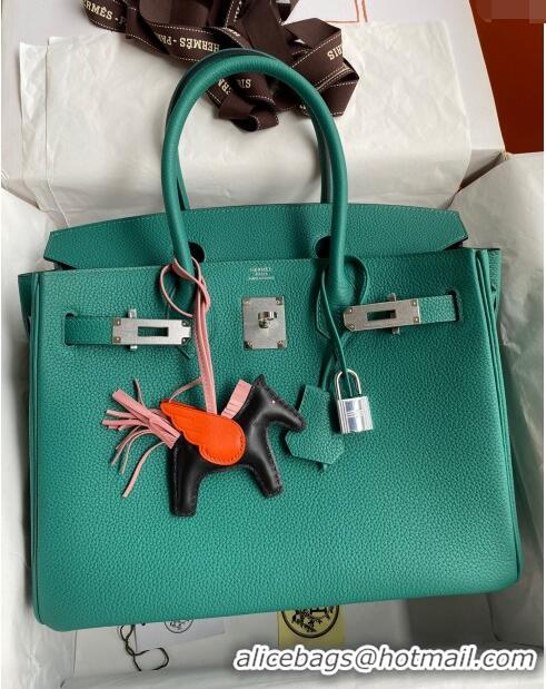 Luxury Cheap Hermes Birkin 30cm Bag in Original Togo Leather H30 Peacock Green/Silver 2024 (Full Handmade)