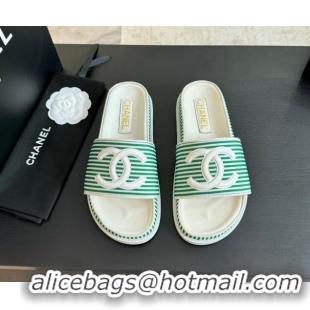 Perfect Chanel Striped Slide Sandals Green 424103