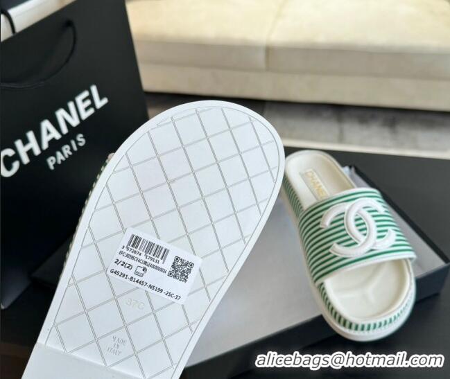 Perfect Chanel Striped Slide Sandals Green 424103