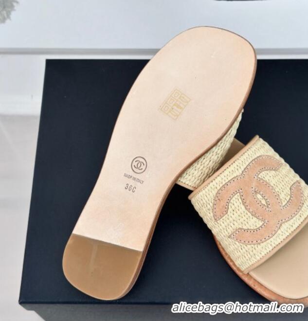 Buy Luxury Chanel Raffia Straw Flat Slide Sandals Beige 424149