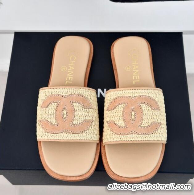 Buy Luxury Chanel Raffia Straw Flat Slide Sandals Beige 424149