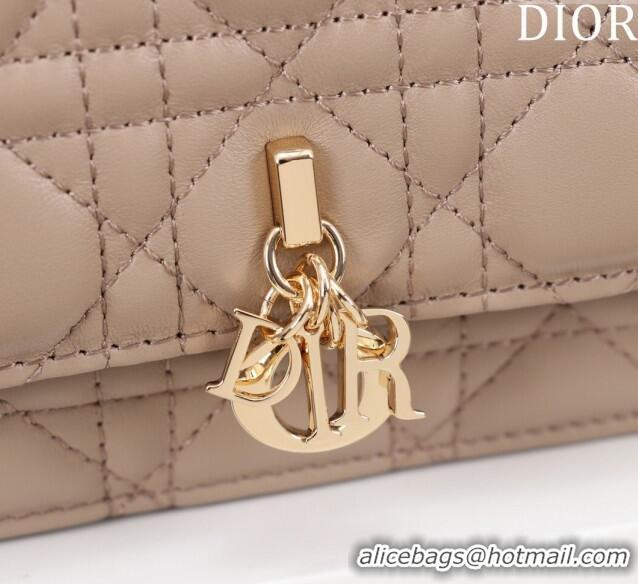 Reasonable Price Dior My Dior Mini Bag in Warm Cannage Lambskin 0980 Taupe 2024