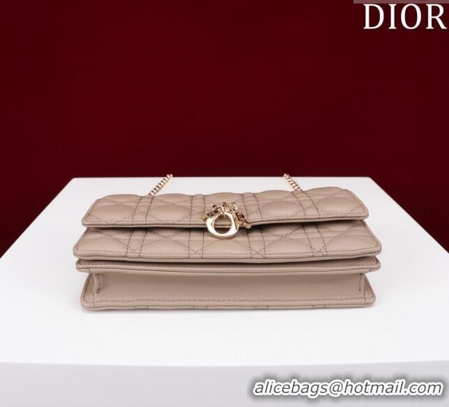 Reasonable Price Dior My Dior Mini Bag in Warm Cannage Lambskin 0980 Taupe 2024