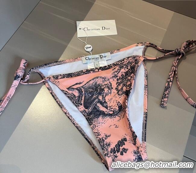 ​Top Quality Dior Swimwear 050977 Pink 2024