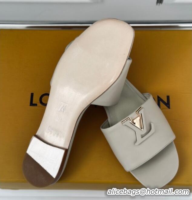 Best Price Louis Vuitton LV Capri Flat Slide Sandals in Calf Leather Grey 426102