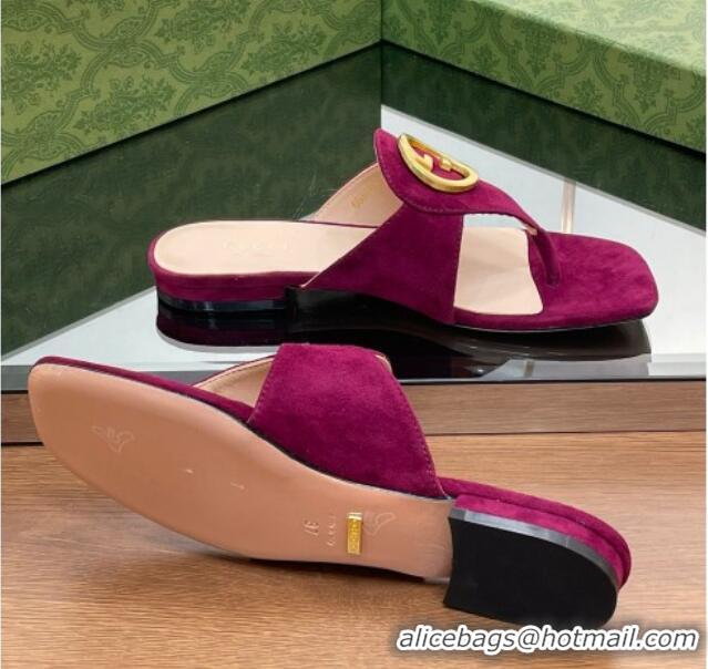 Grade Quality Gucci Blondie Flat Slide Thong Sandals in Suede with Interlocking G Purple 427040