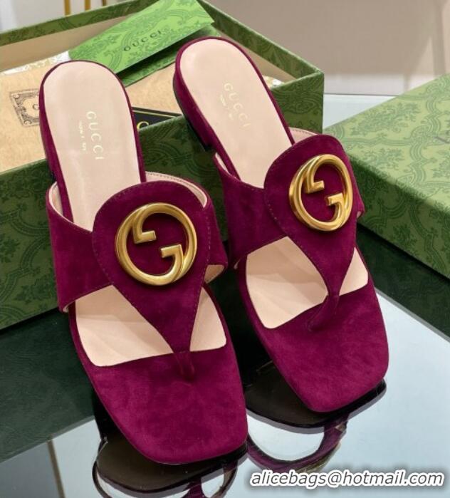 Grade Quality Gucci Blondie Flat Slide Thong Sandals in Suede with Interlocking G Purple 427040