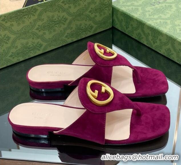 Grade Quality Gucci Blondie Flat Slide Thong Sandals in Suede with Interlocking G Purple 427040