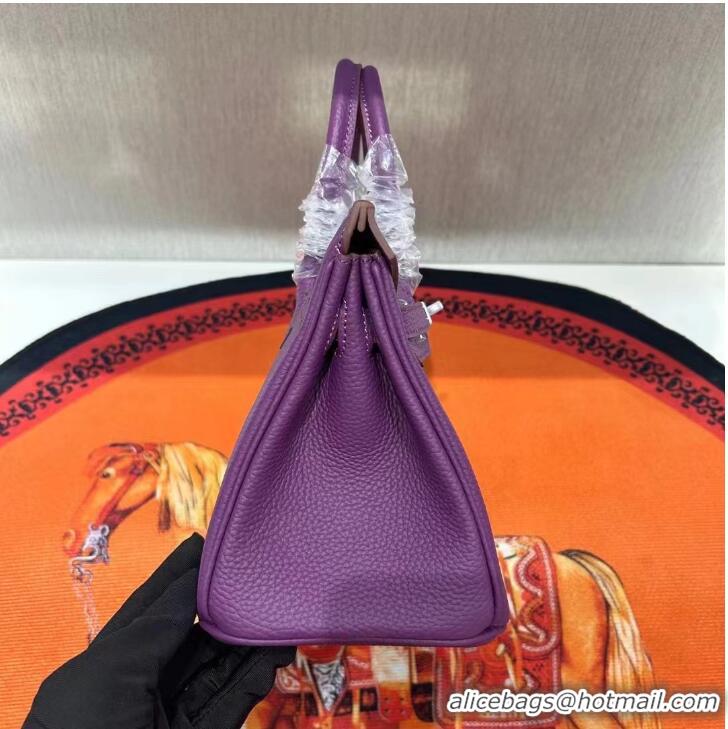 Reasonable Price Hermes Birkin 30cm Togo Leather Bag 6088 Purple Silver