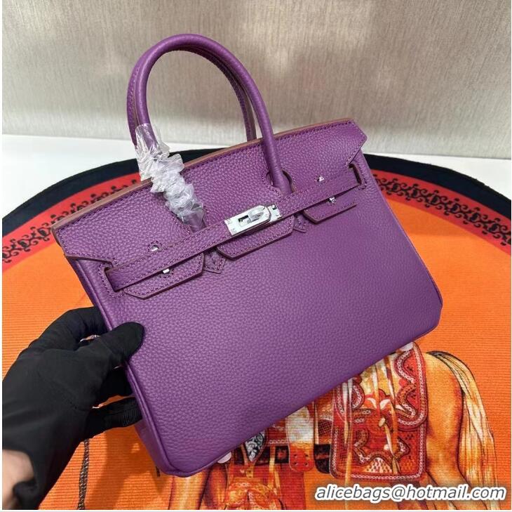 Reasonable Price Hermes Birkin 30cm Togo Leather Bag 6088 Purple Silver