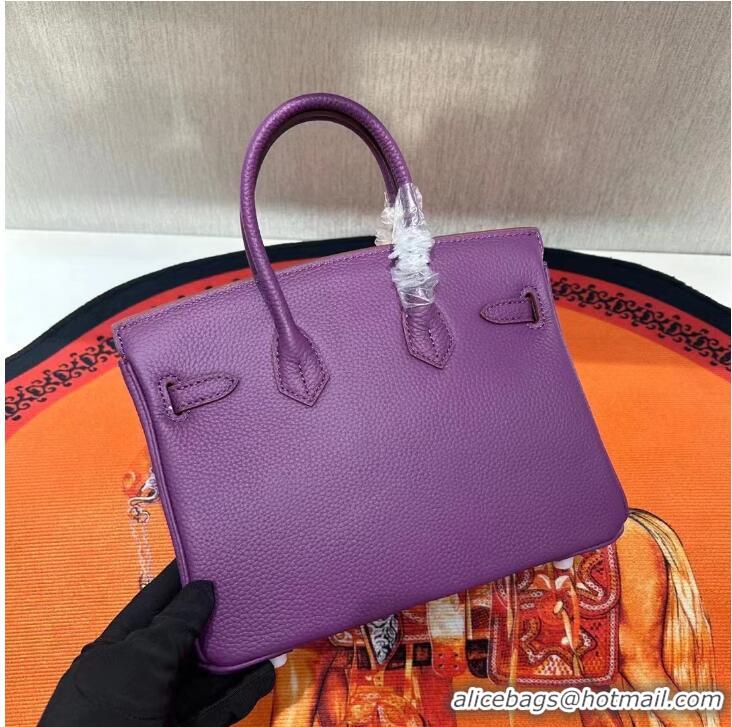 Reasonable Price Hermes Birkin 30cm Togo Leather Bag 6088 Purple Silver