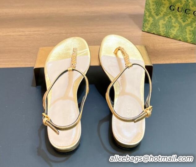 Good Looking Gucci Signoria Leather Flat Thong Sandals Gold 427061