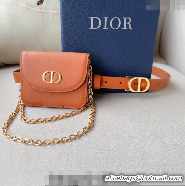 New Fashion Dior 30 Montaigne Removable Pouch Belt 2cm D0510 Brown 2024