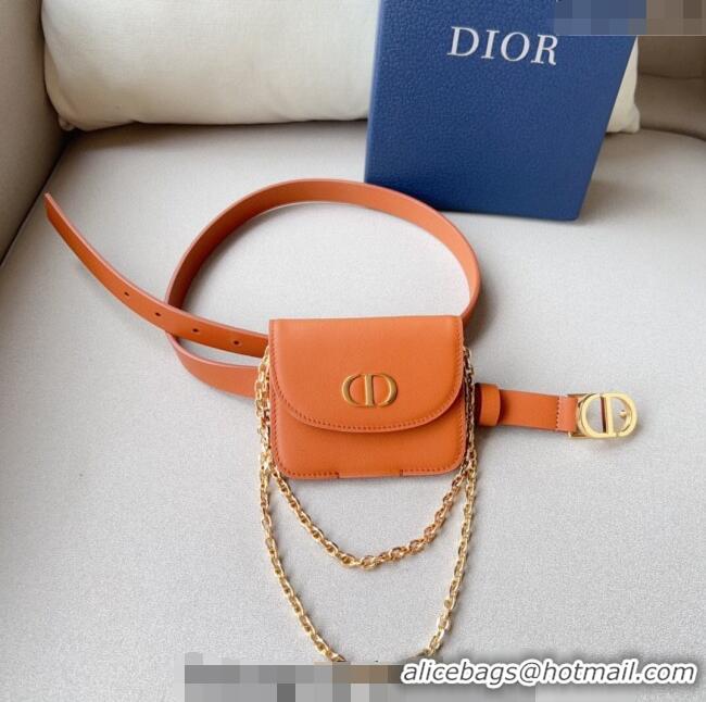 New Fashion Dior 30 Montaigne Removable Pouch Belt 2cm D0510 Brown 2024