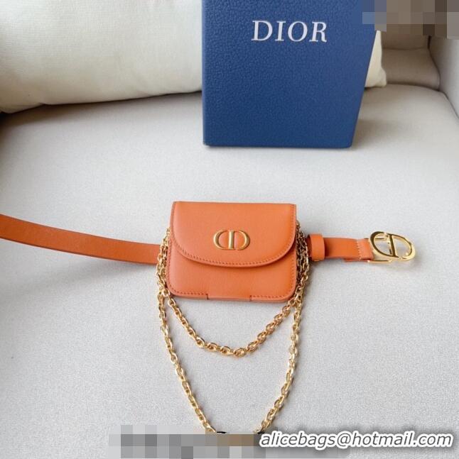 New Fashion Dior 30 Montaigne Removable Pouch Belt 2cm D0510 Brown 2024