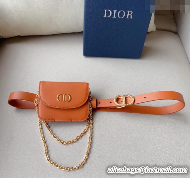 New Fashion Dior 30 Montaigne Removable Pouch Belt 2cm D0510 Brown 2024