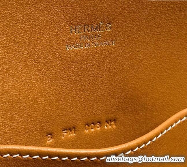 Shop Discount Hermes Mini Bolide Bag 19cm in Evercolor Calf Leather H1031 Brown/Gold