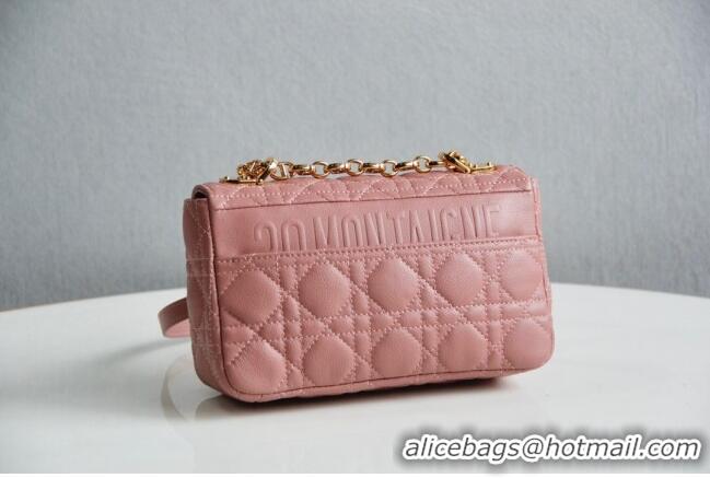 Famous Brand Dior Small Caro Chain Bag in Soft Cannage Calfskin CD2201 Antique Pink 2024