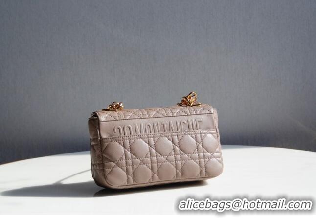 Most Popular Dior Small Caro Chain Bag in Soft Cannage Calfskin CD2201 Warm Taupe 2024