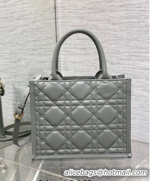 Grade Discount Dior Small Book Tote Bag in Macrocannage Calfskin CD3007 Grey 2024