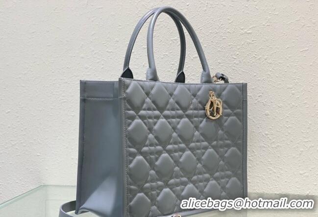 Super Quality Dior Medium Book Tote Bag in Macrocannage Calfskin CD3008 Grey 2024