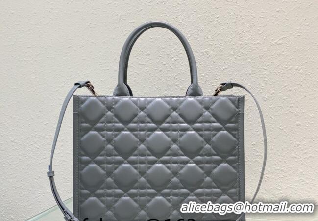 Super Quality Dior Medium Book Tote Bag in Macrocannage Calfskin CD3008 Grey 2024