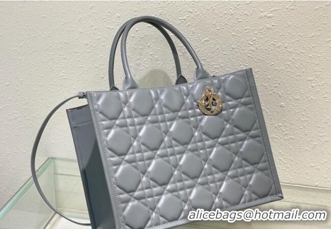 Super Quality Dior Medium Book Tote Bag in Macrocannage Calfskin CD3008 Grey 2024