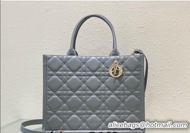 Super Quality Dior Medium Book Tote Bag in Macrocannage Calfskin CD3008 Grey 2024