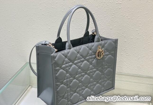 Super Quality Dior Medium Book Tote Bag in Macrocannage Calfskin CD3008 Grey 2024