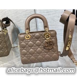 Pretty Style Dior Small Lady My ABCDior Bag inCannage Lambskin 0523 Khaki Grey 2024