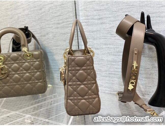 Pretty Style Dior Small Lady My ABCDior Bag inCannage Lambskin 0523 Khaki Grey 2024