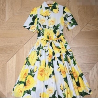 Good Quality Dolce & Gabbana Dress DG051740 Yellow 2024