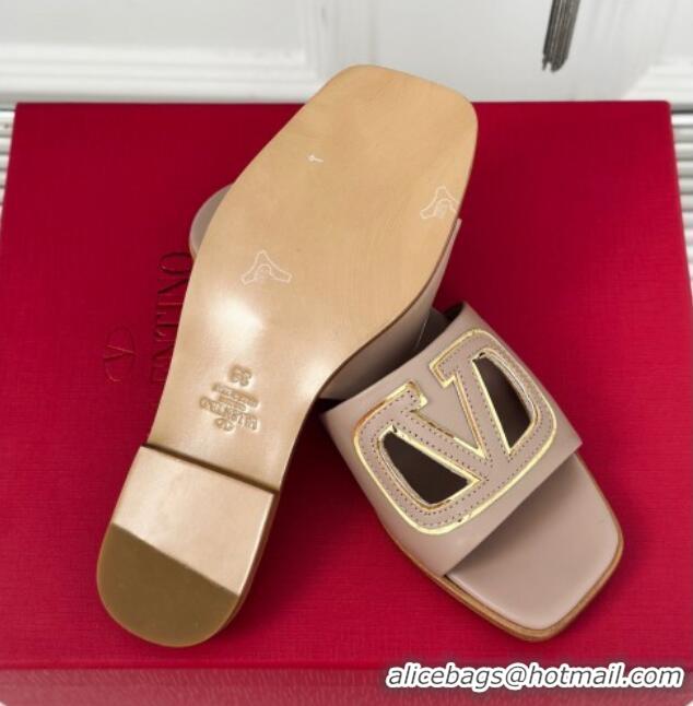 Best Grade Valentino VLogo Cut-out Calfskin Flat Slide Sandals Dark Beige 429063