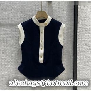 Buy New Cheap Louis Vuitton Blue Top LV053108 2024