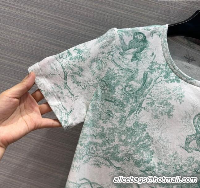 Spot Bulk Dior Cotton T-shirt D053126 Green 2024